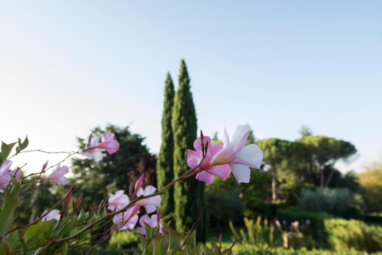 Hébergement de vacances Borgo Risi *